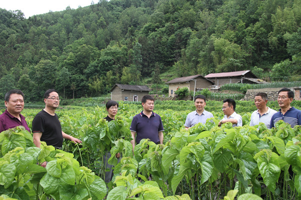 安康市商務(wù)局領(lǐng)導(dǎo)來我公司調(diào)研春蠶收購及扶貧點(diǎn)蠶?；亟ㄔO(shè)情況